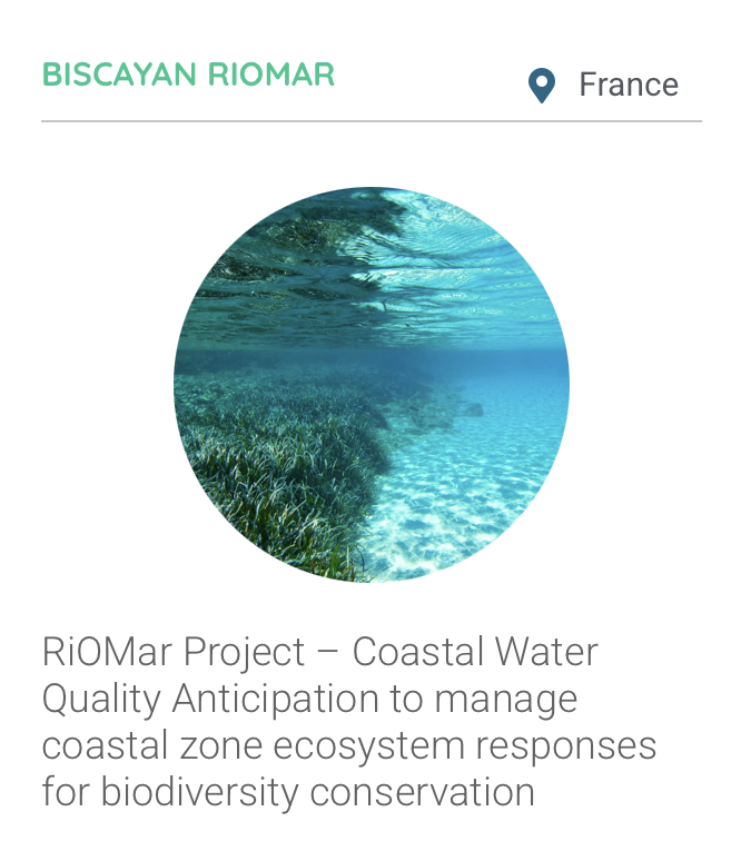 Biscayan RioMar