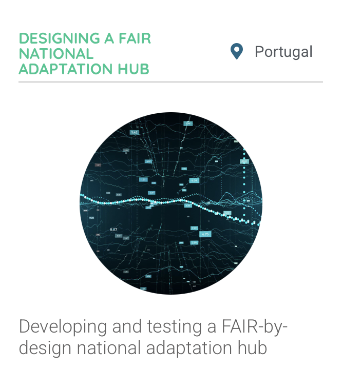 Designing a FAIR National Adaptation Hub